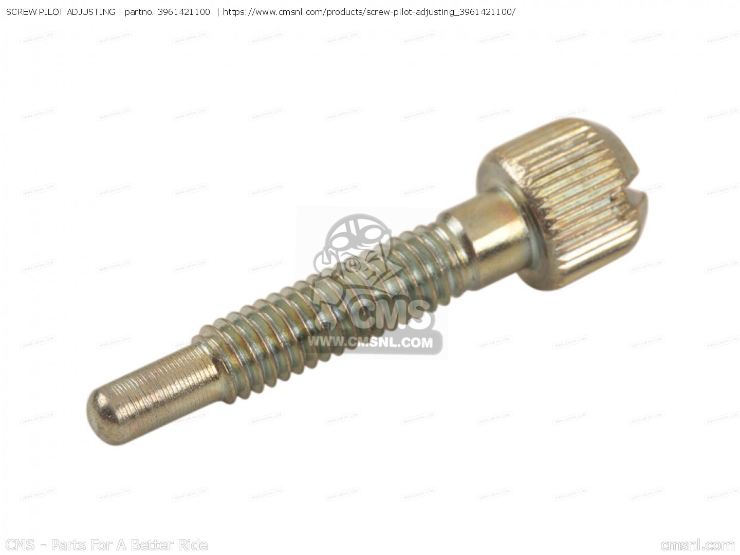 SCREW PILOT ADJUSTING for RD200 1976 USA order at CMSNL