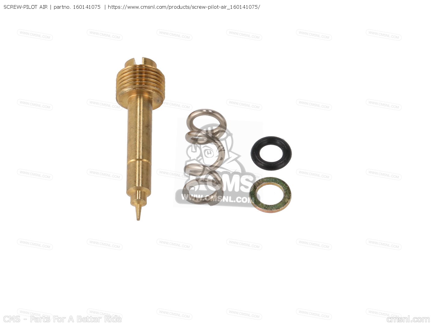 Pilot screw location ZX7R -P8