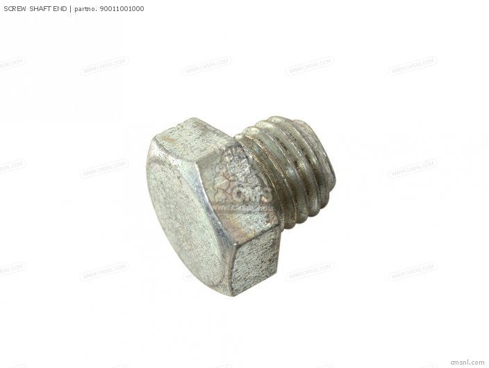 SCREW SHAFT END