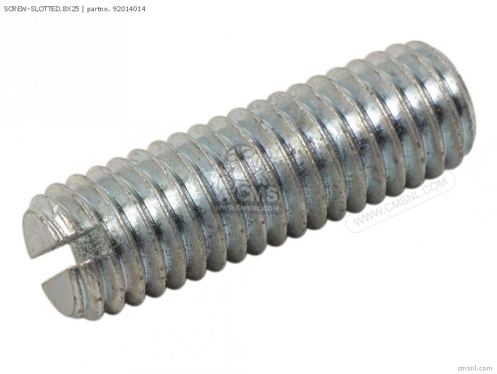 Screw-slotted,8x25 photo