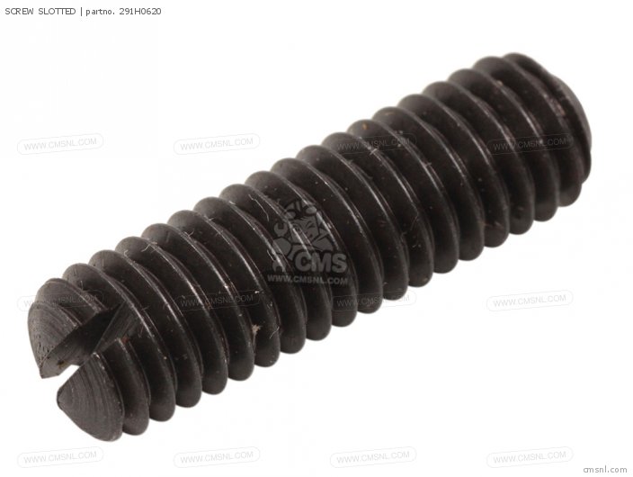 SCREW SLOTTED SCREW SLOTTED