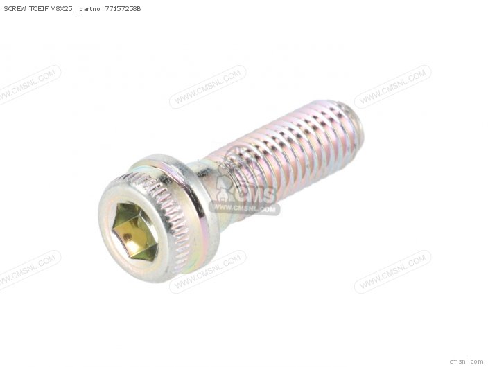 Screw Tceif M8x25 photo