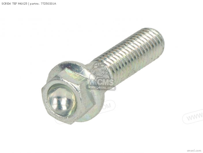 Screw Tef M6x25 photo