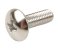 small image of SCREW