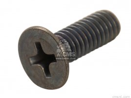 SCREW SCREW