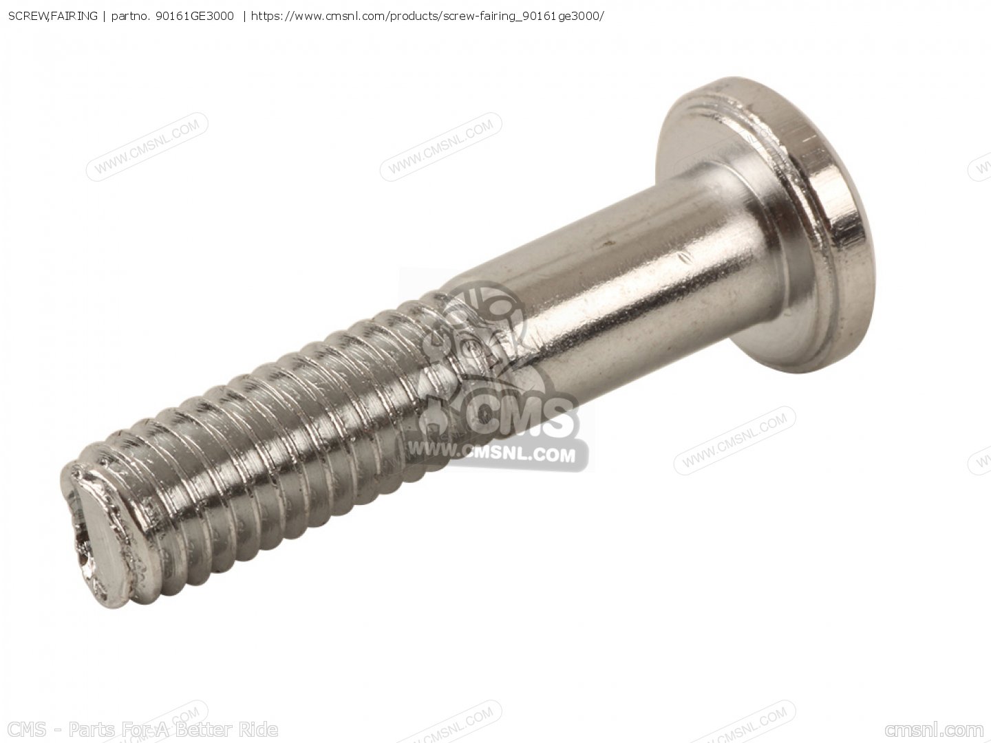 fairing screw
