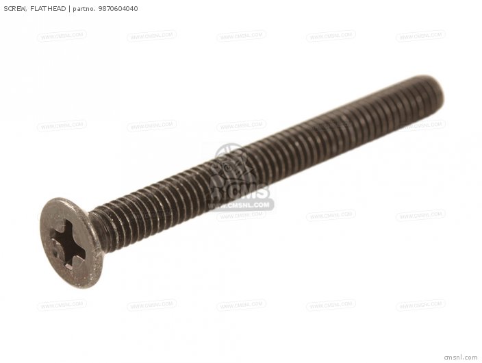 Screw, Flat Head photo