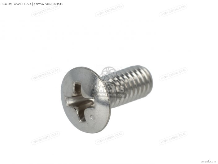 Screw, Oval Head photo