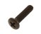 small image of SCREW  OVAL  4X18