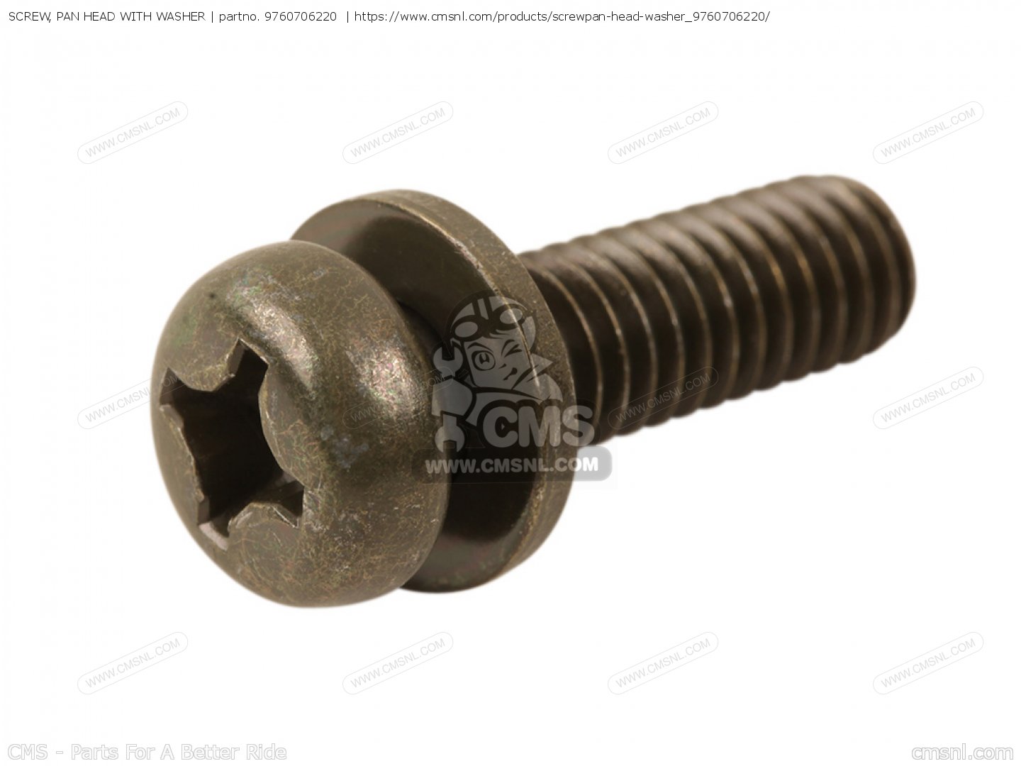 pan head screw with washer