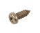 small image of SCREW  PANHEAD TAPPING J20