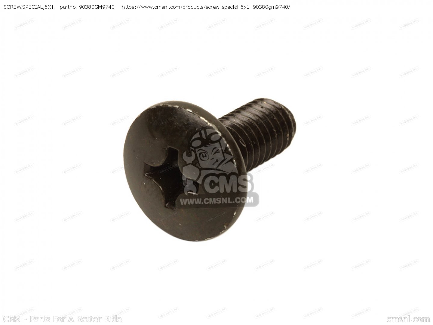 SCREW,SPECIAL,6X1 for ZN110R NICE - order at CMSNL