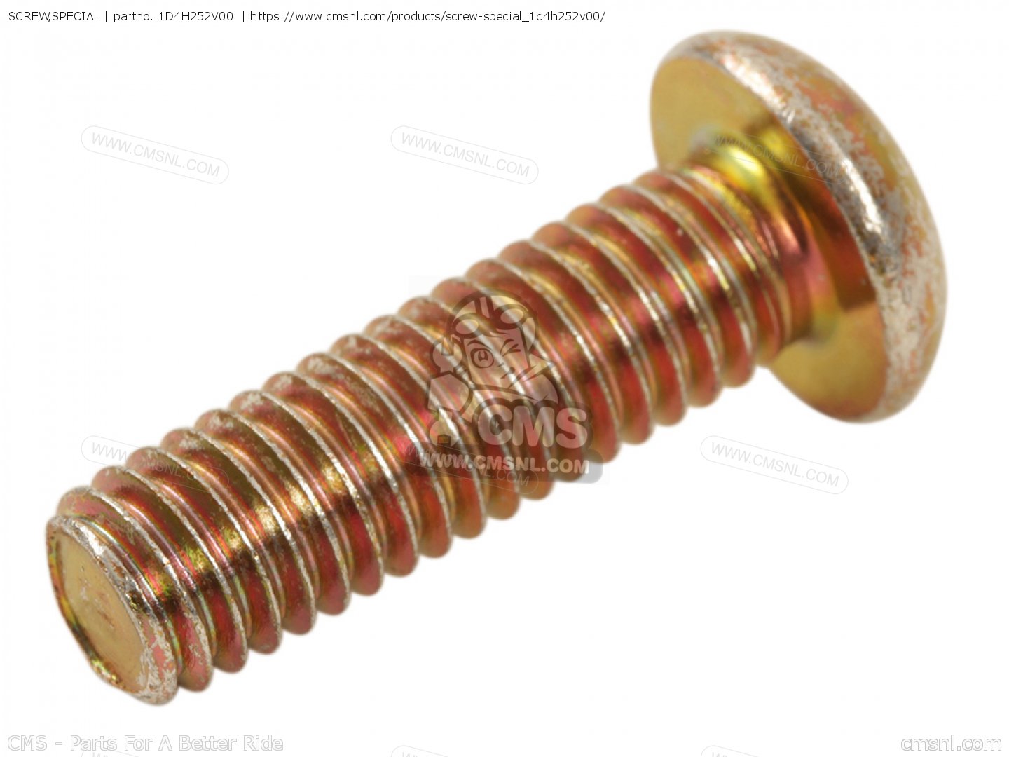 SCREW,SPECIAL for Yamaha - order at CMSNL