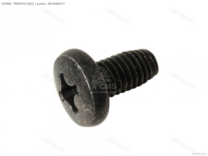 Screw, Tapping (30x) photo