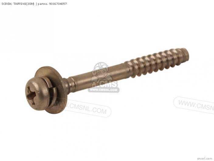 Screw, Tapping(3gm) photo
