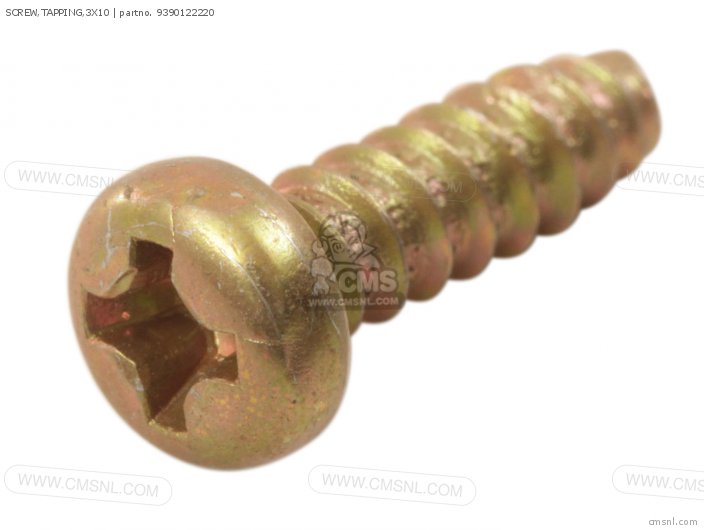 Screw, Tapping, 3x10 photo