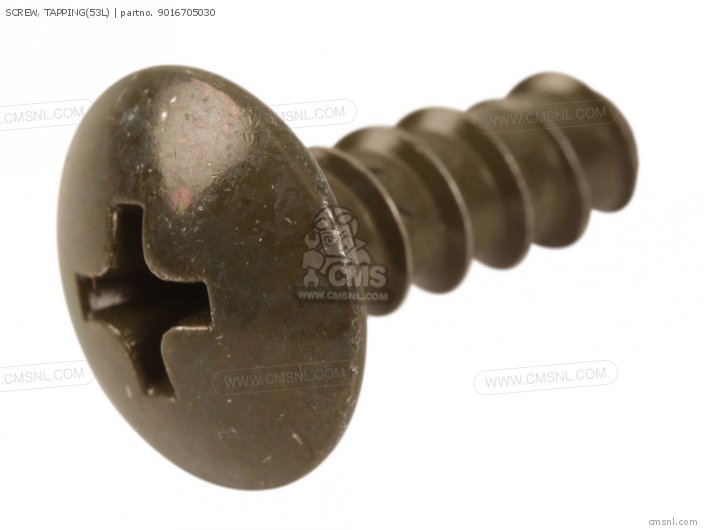 Screw, Tapping(53l) photo