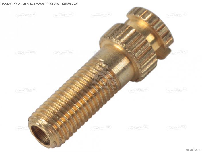 SCREW,THROTTLE VALVE ADJUST for GT250 1973 1974 1975 1976 1977 (K) (L) (M) (A) (B) USA (E03