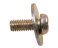 small image of SCREW WASH 4X10