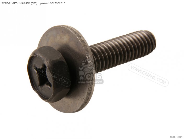 SCREW  WITH WASHER 583