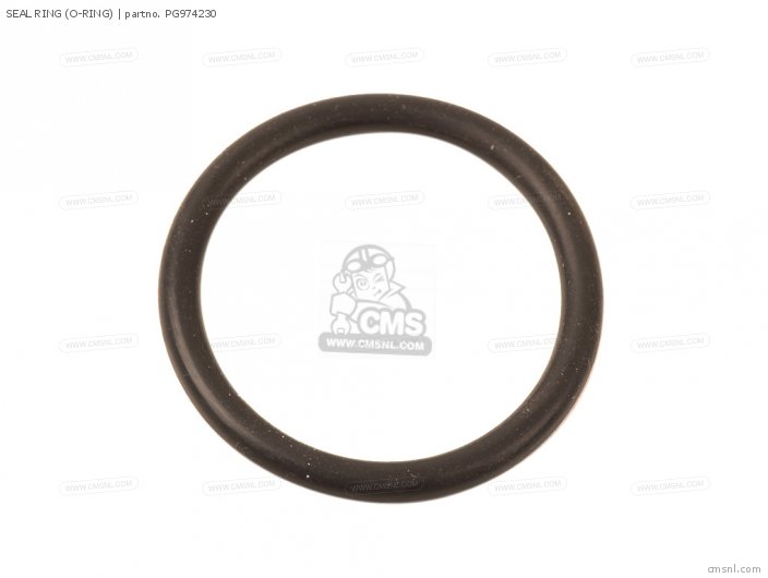 SEAL RING (O-RING) SEAL RING (O-RING)