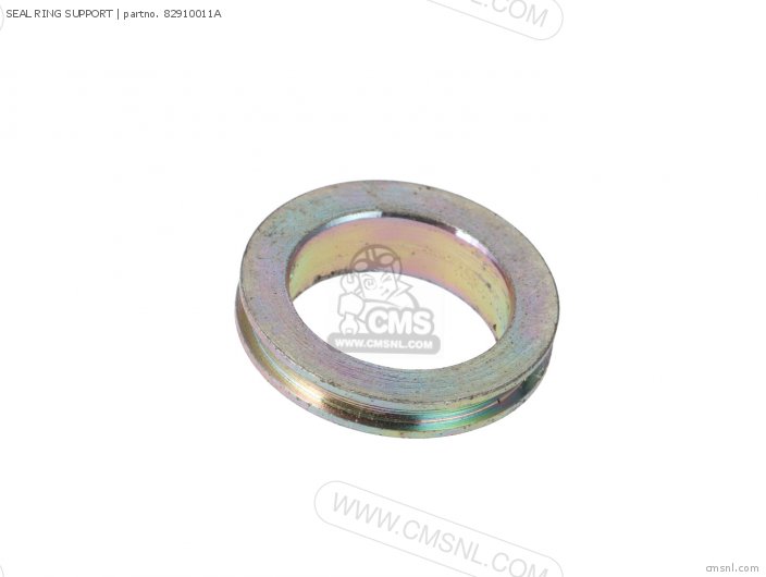 Ducati SEAL RING SUPPORT 82910011A