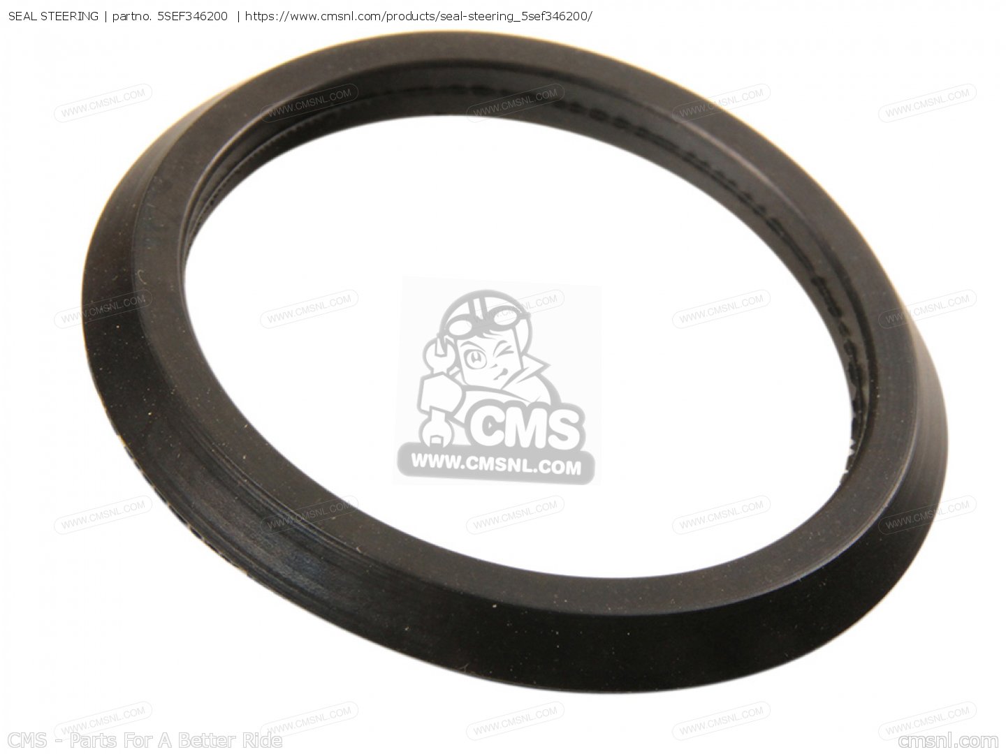 SEAL STEERING for VP300 2004 1S61 ITALY 1C1S6300S3 order at CMSNL