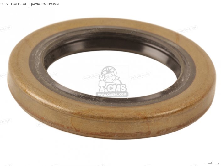 Kawasaki SEAL, LOWER OIL 920493503