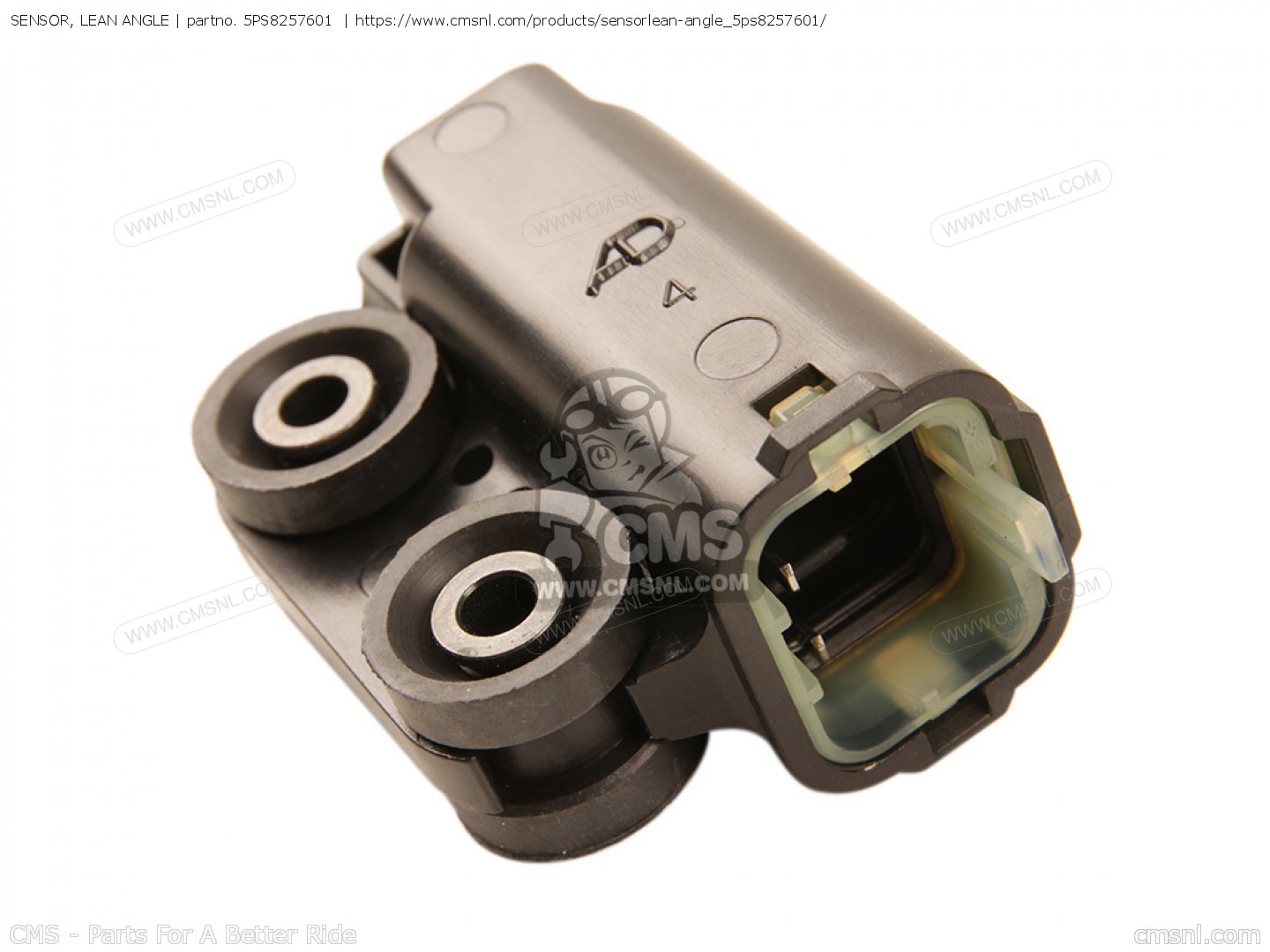 SENSOR, LEAN ANGLE for YZFR1L/S,R1B,R1CL/S,R1CB 2003 (3) USA