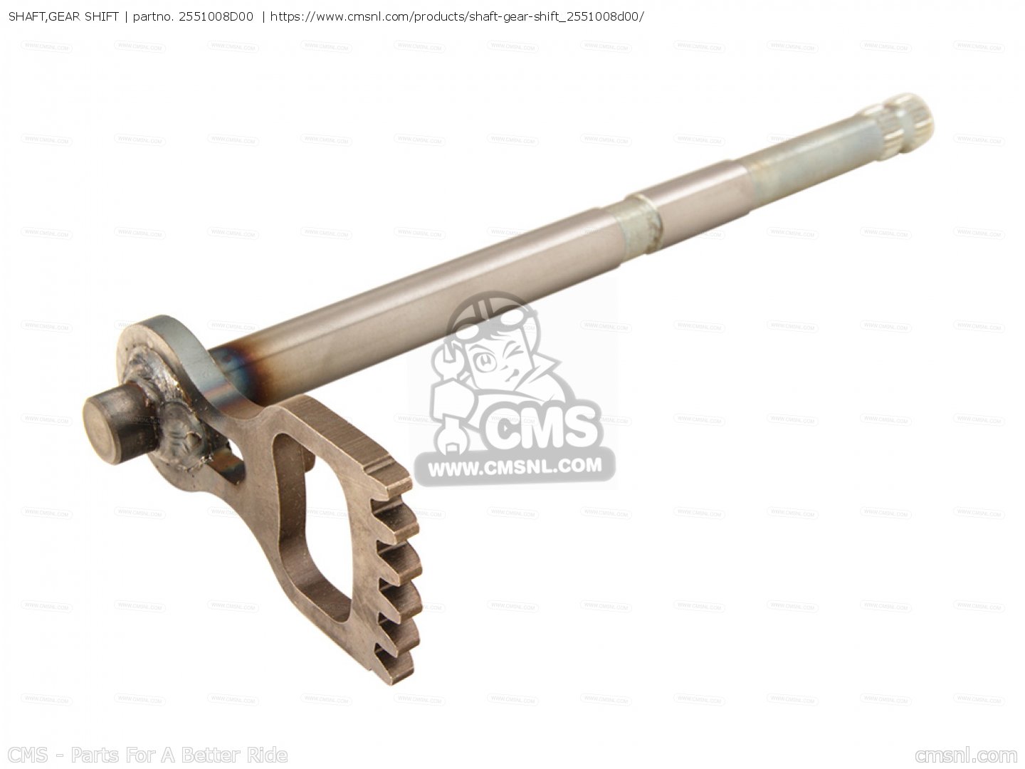 2551008D00