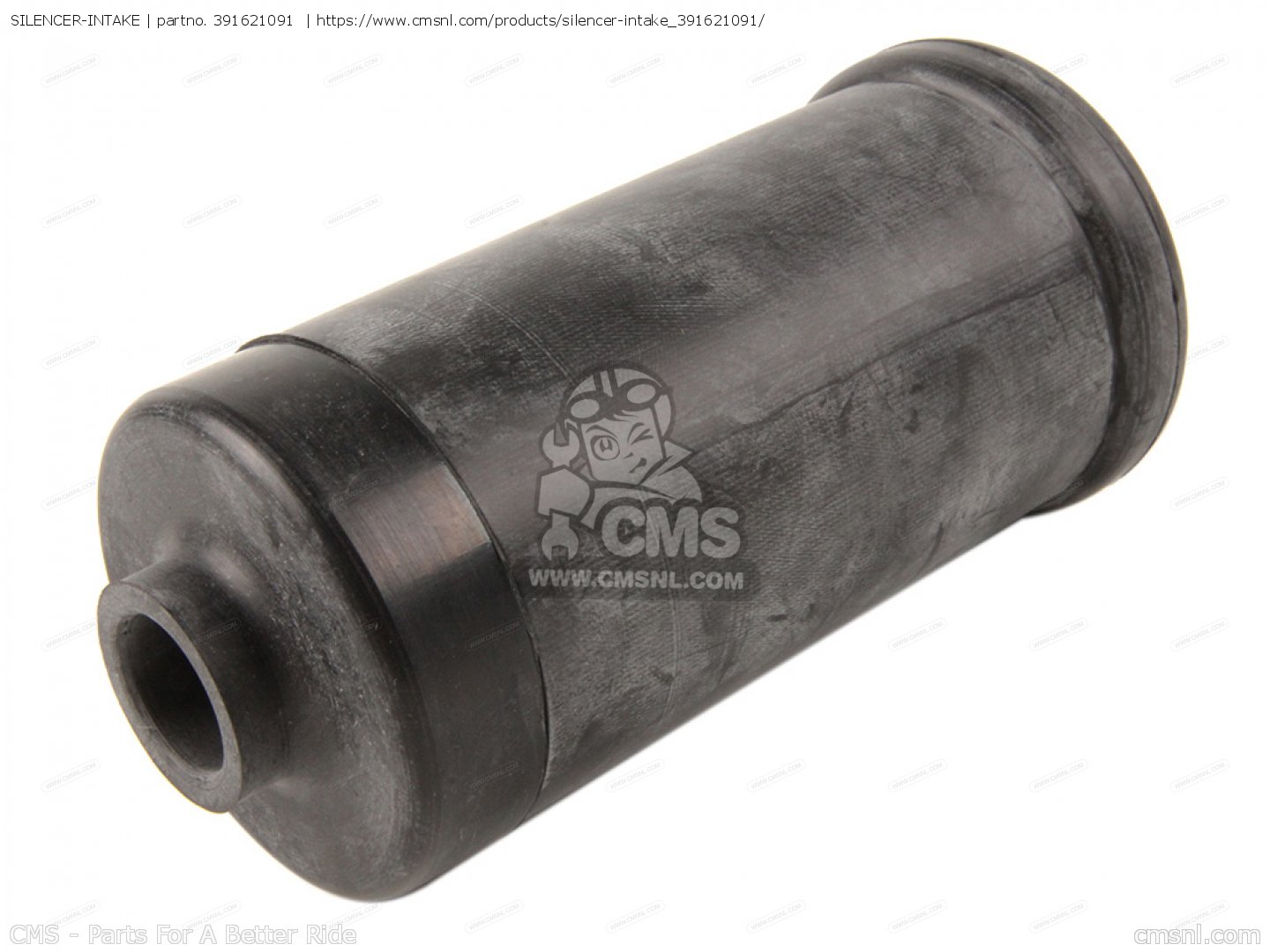 tomoka♡ SILENCER-INTAKE for Kawasaki - order at CMSNL