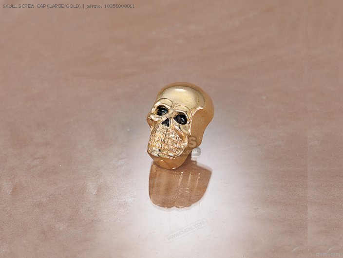 Kitaco SKULL SCREW CAP (LARGE/GOLD) 10350000011