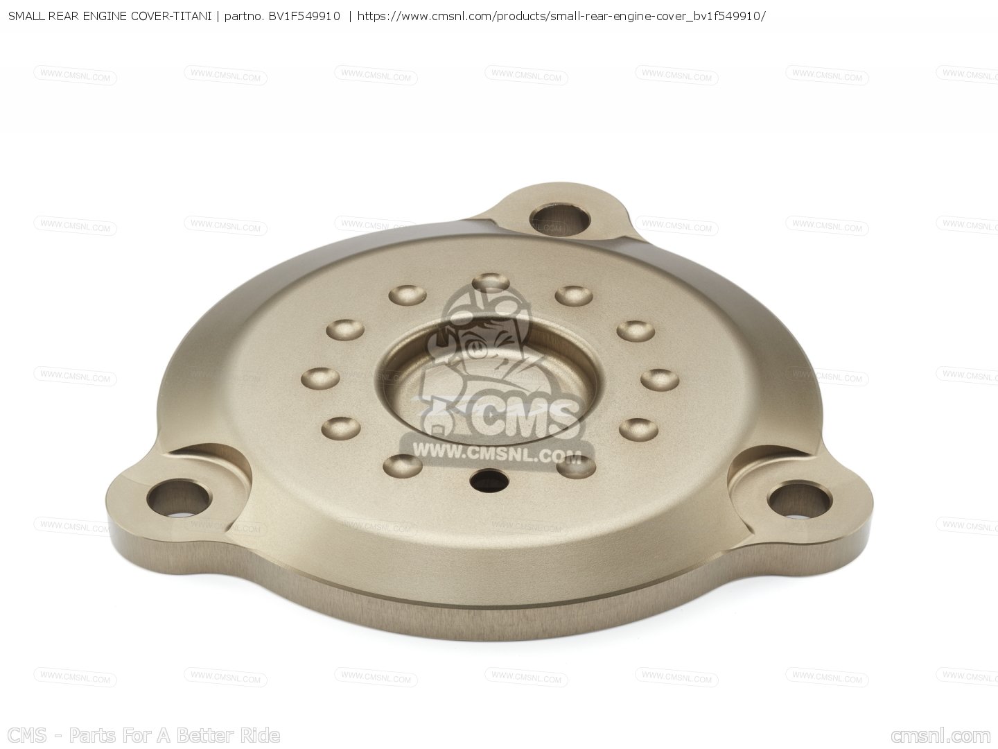 BV1F549910: Small Rear Engine Cover-titani Yamaha - buy the BV1-F5499 ...