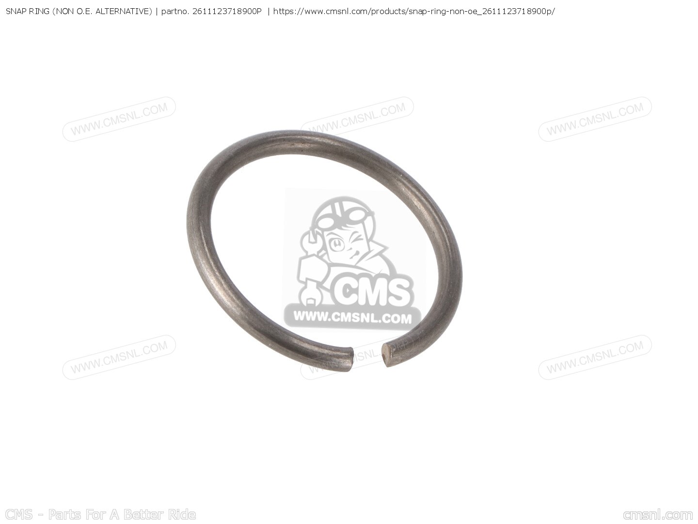 2611123718900P Snap Ring (non O.e. Alternative) Alternative Parts