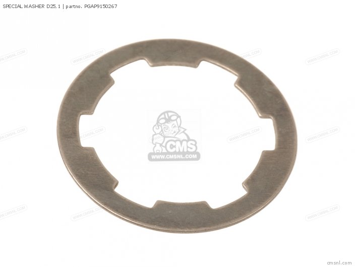 SPECIAL WASHER D25,1 SPECIAL WASHER D25,1