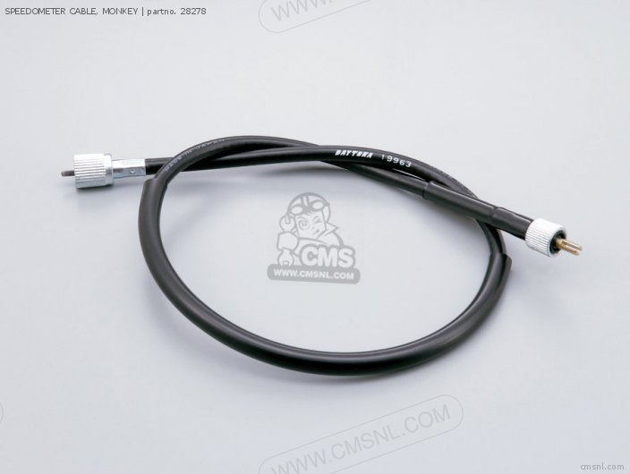 Speedometer Cable, Monkey photo