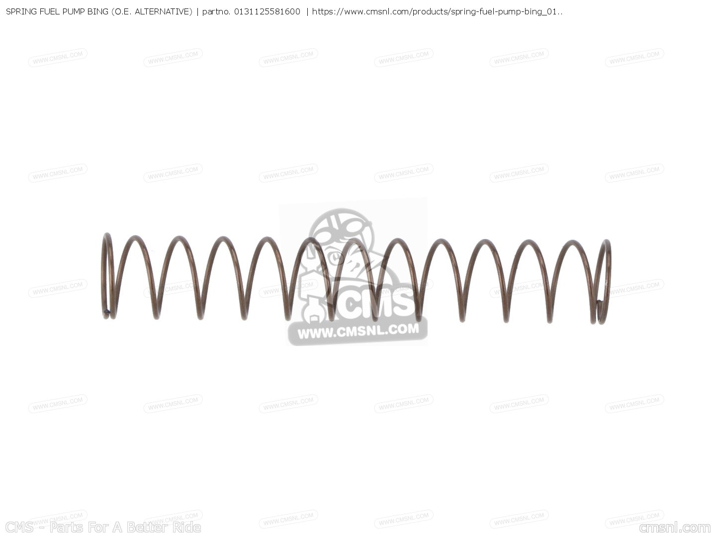 0131125581600 Spring Fuel Pump Bing (o.e. Alternative) Alternative