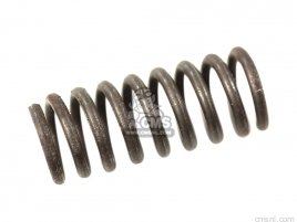 25555028010