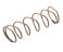 small image of SPRING  BRUSH