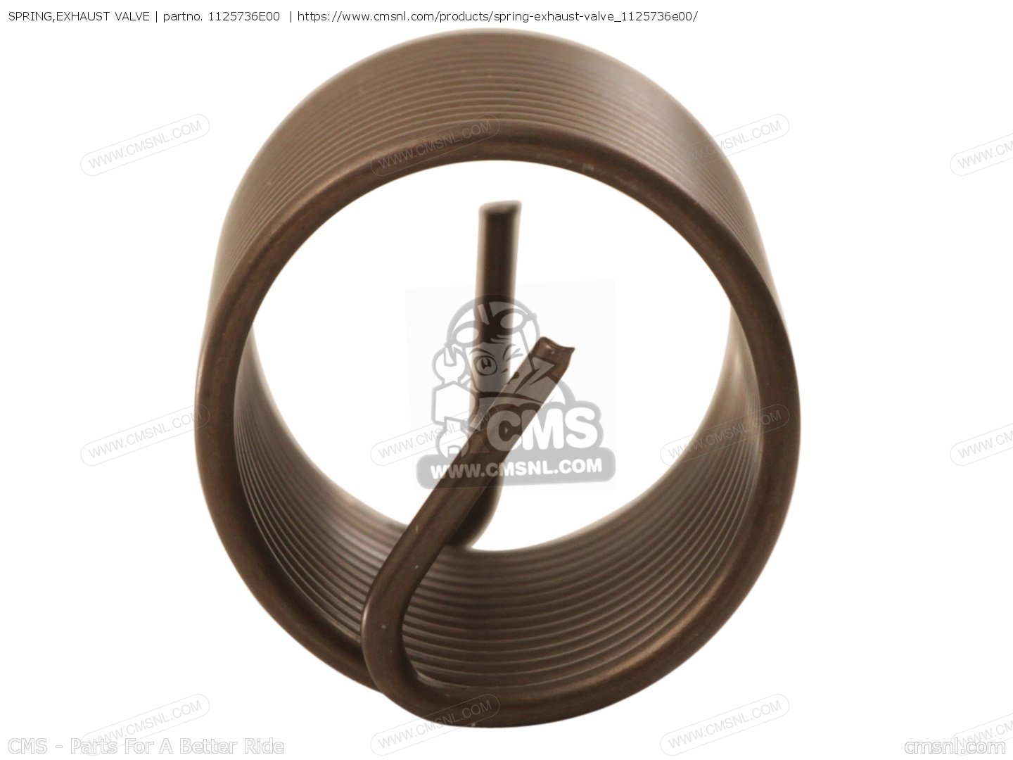 SPRING,EXHAUST VALVE for RM125 1996 (T) UNITED KINGDOM FRANCE AUSTRALIA