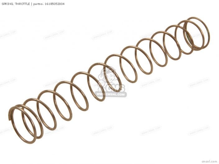 16185052004