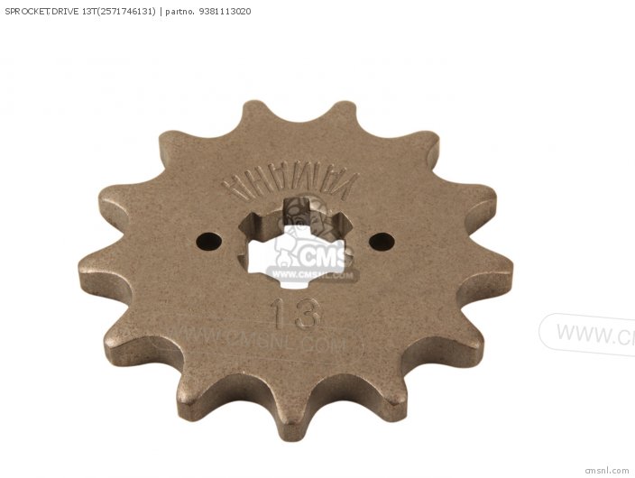 SPROCKET DRIVE 13T2571746131