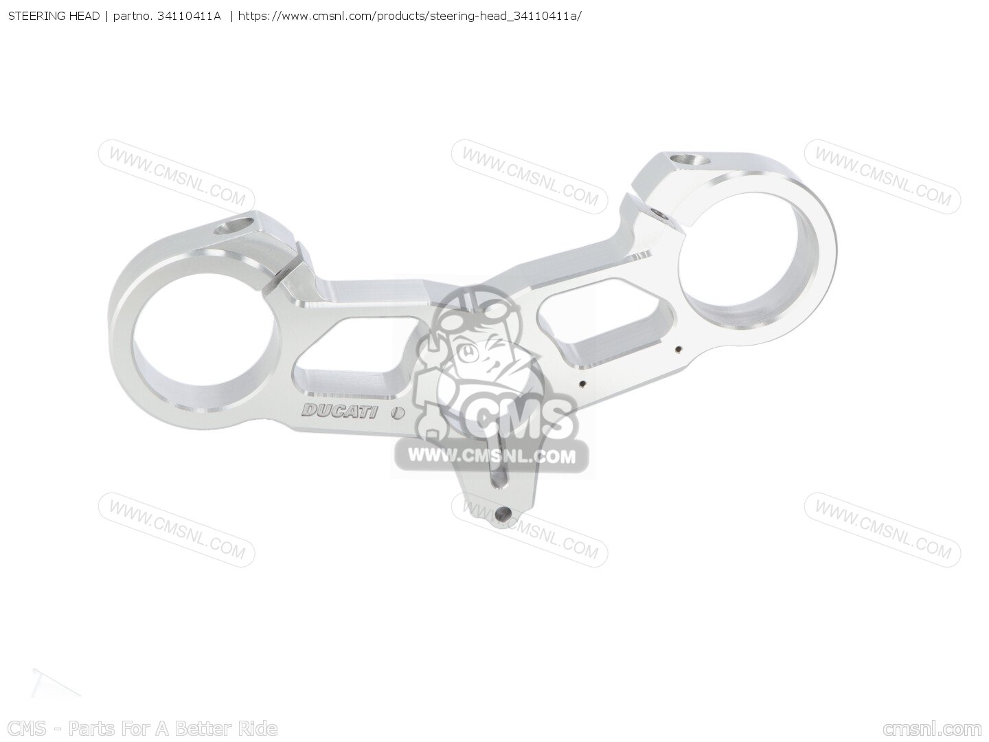34110411A Steering Head Ducati buy the 34110411A at CMSNL