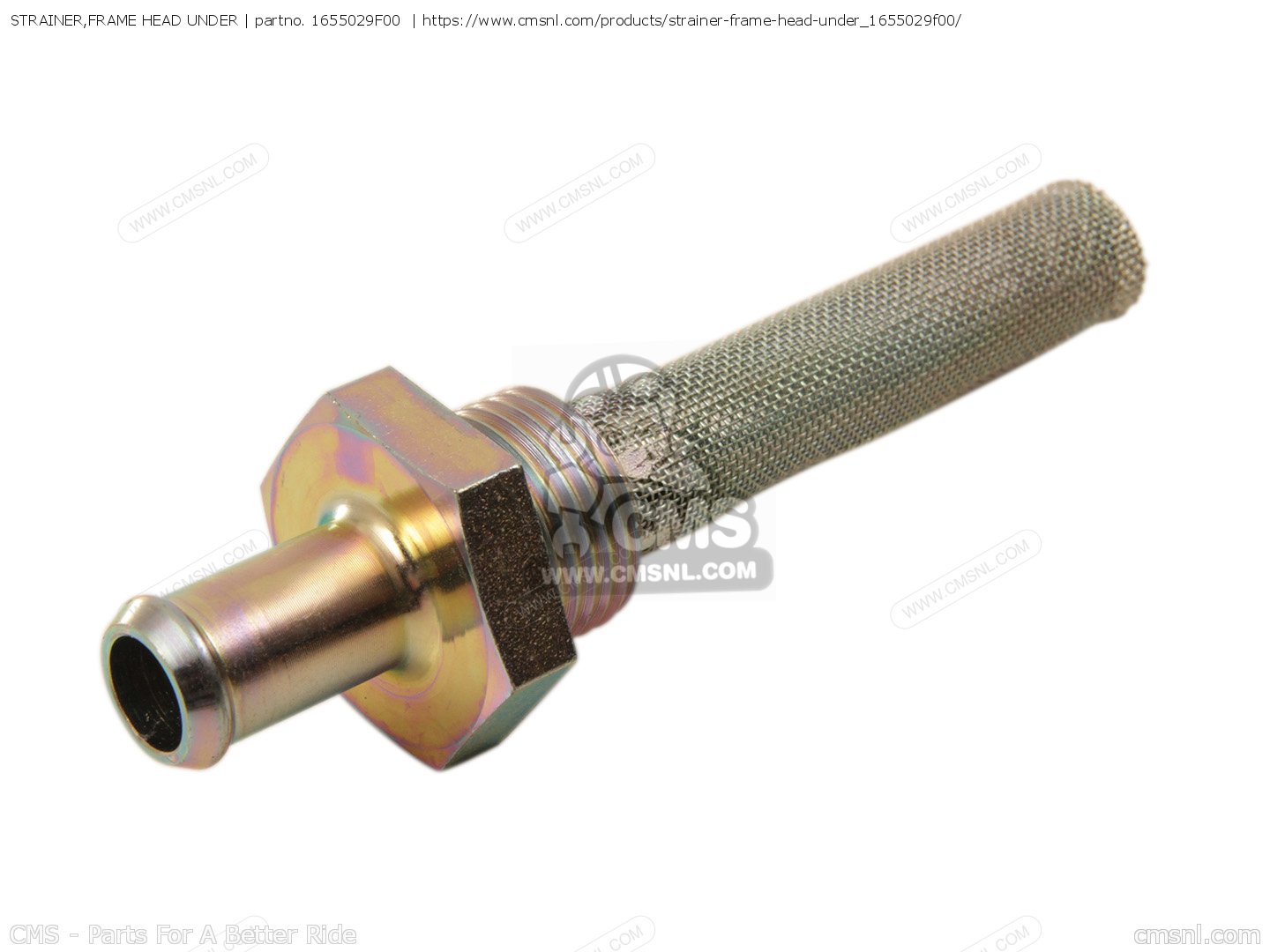 1655029F00: STRAINER,FRAME HEAD UNDER Suzuki - buy the 16550-29F00