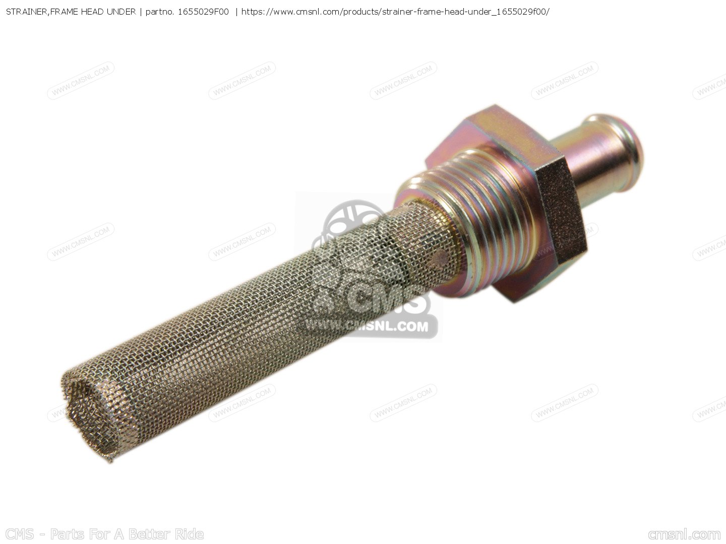 1655029F00: STRAINER,FRAME HEAD UNDER Suzuki - buy the 16550-29F00