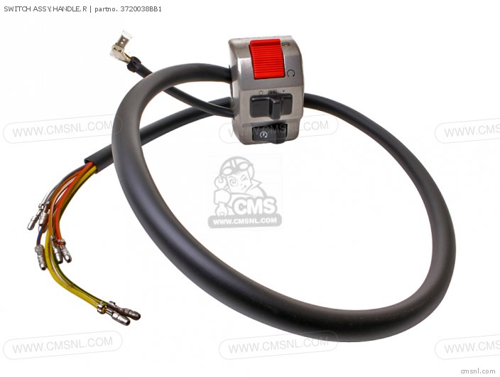 Switch Assy, Handle, R photo