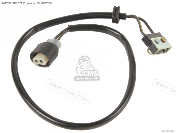 SWITCH, THROTTLE for YFS200D MAINE NEW HAMPSHIRE 1992 order at CMSNL