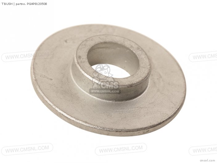 Piaggio Group T BUSH PGAP8120508 Piaggio Group T BUSH PGAP8120508