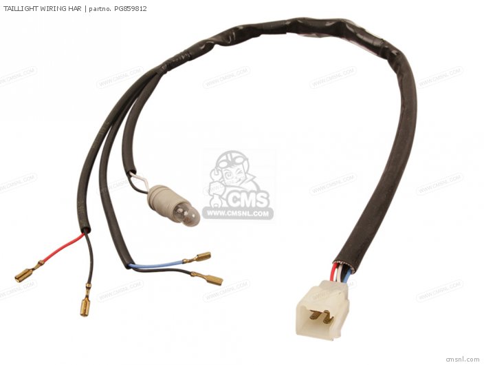 Piaggio Group TAILLIGHT WIRING HAR PG859812