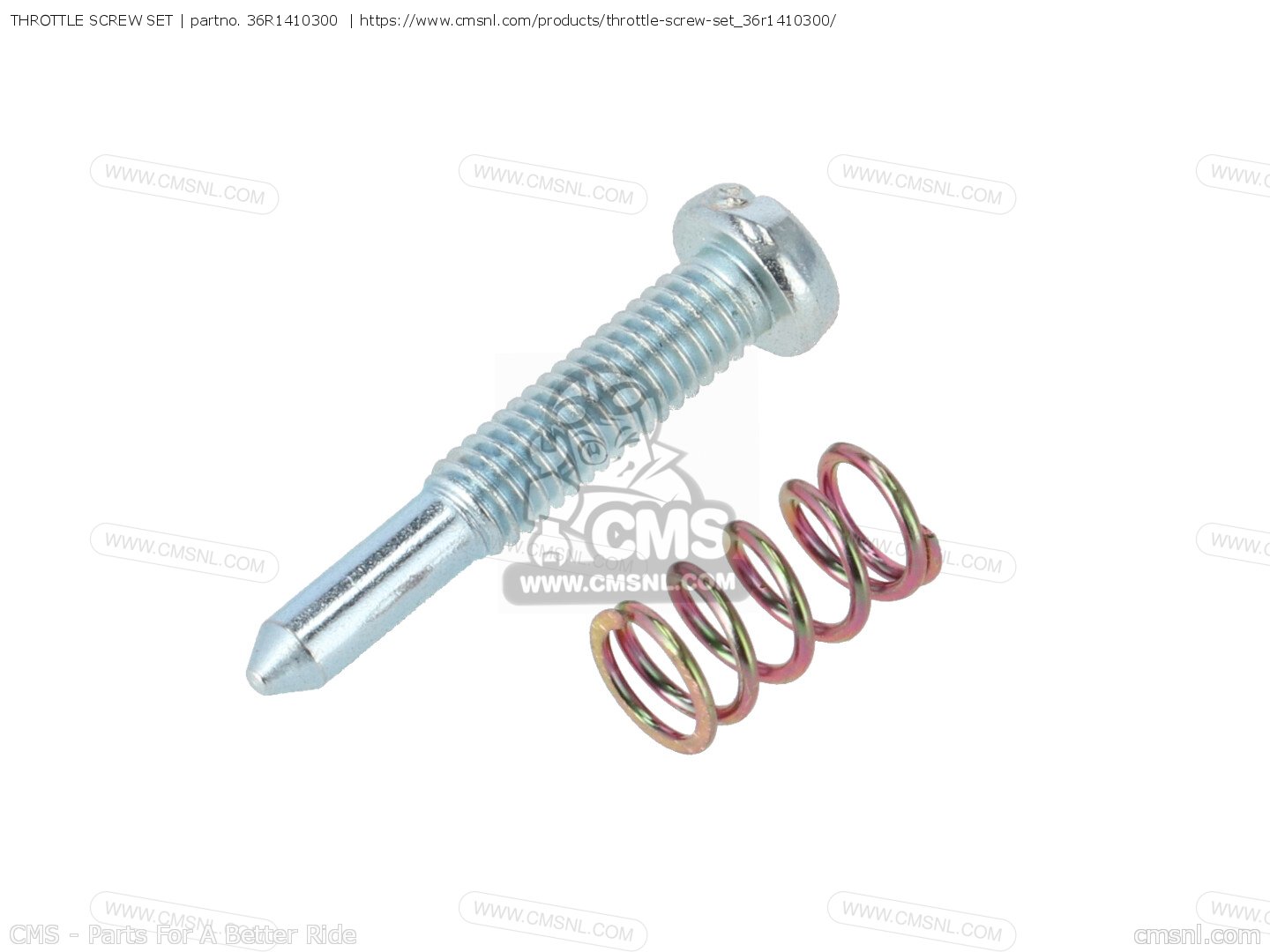 throttle-screw-set_big36R1410300-01_0e43.jpg